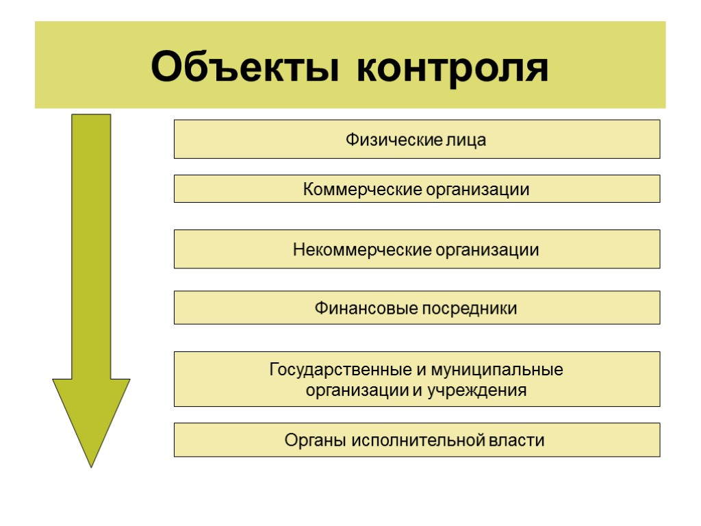 Объекты контроля Физические лица Коммерческие организации Некоммерческие организации Финансовые посредники Государственные и муниципальные организации